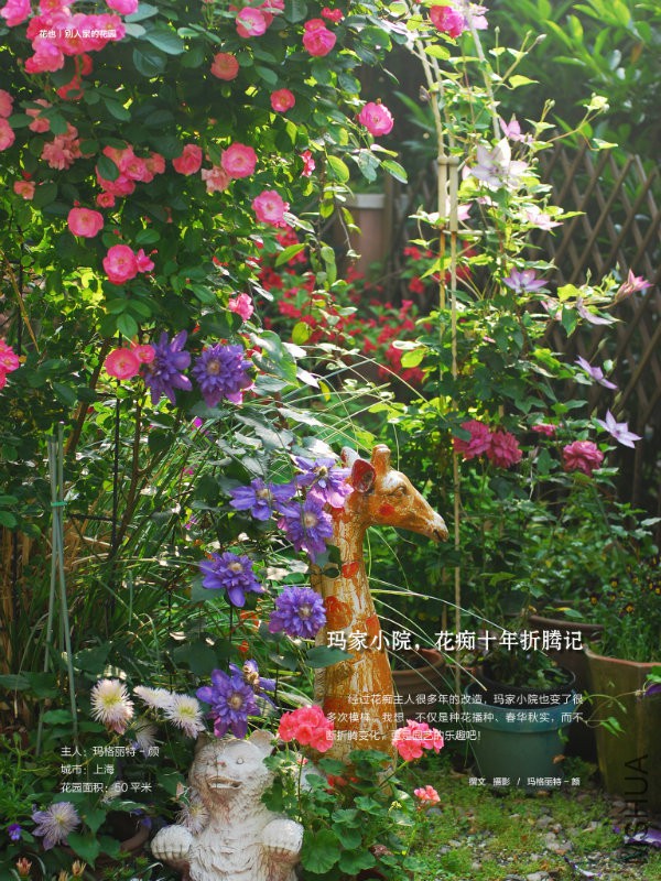 花也�?���?��6.jpg