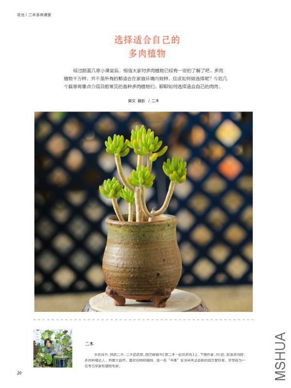 花也�?���?��20.jpg