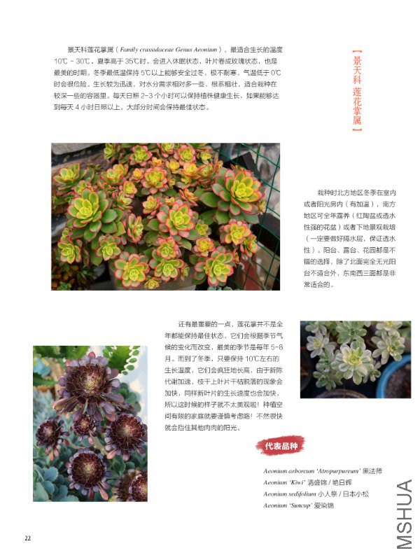 花也�?���?��22.jpg