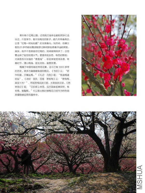 花也�?���?��26.jpg