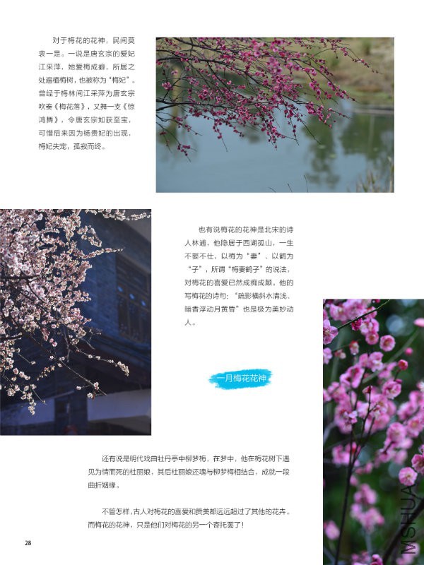 花也�?���?��28.jpg