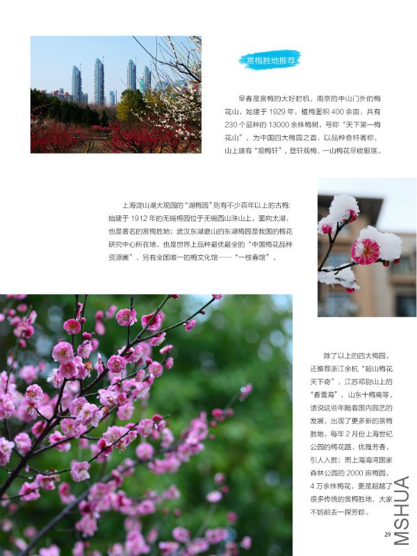 花也�?���?��29.jpg