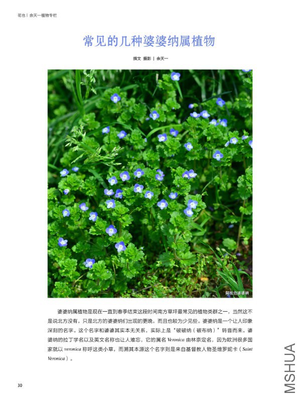 花也�?���?��30.jpg