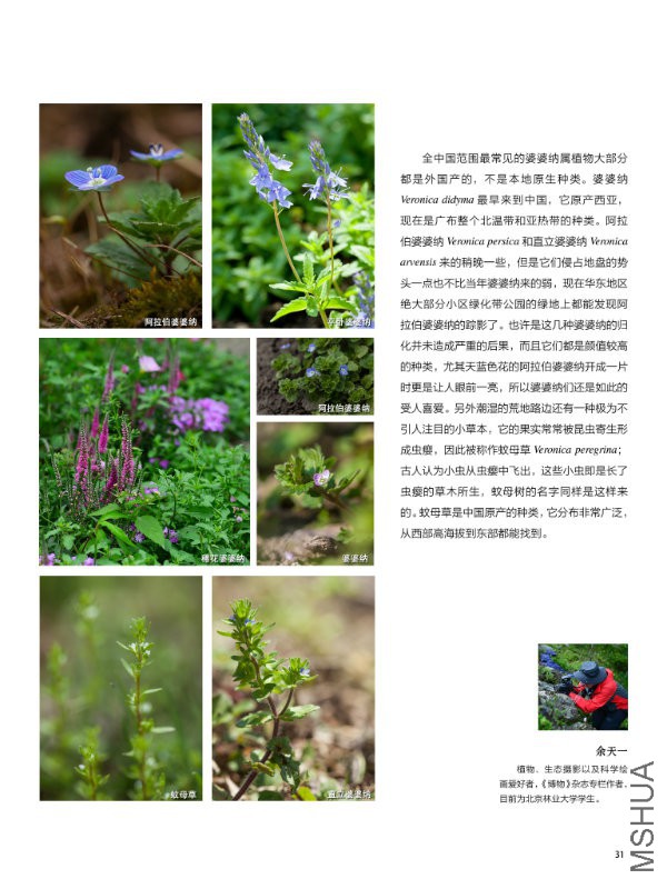 花也�?���?��31.jpg