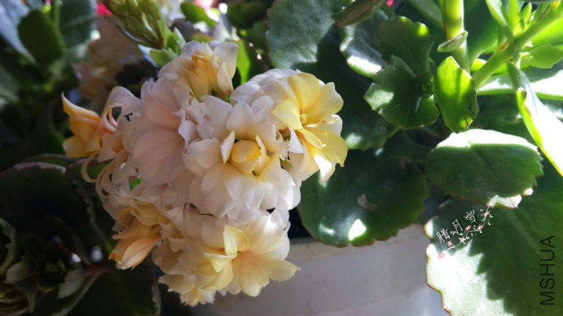 20160220_131402_�?��.jpg