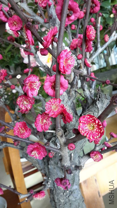 20160221_091203_����.jpg