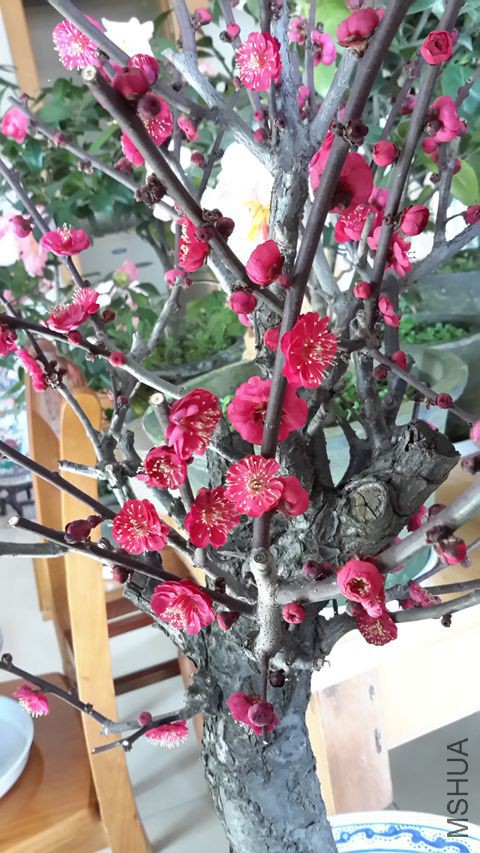 20160220_120650_����.jpg