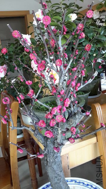 20160220_120445_����.jpg