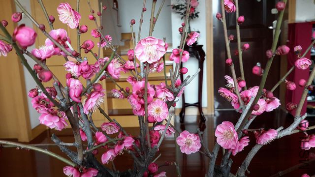 20160220_084912_����.jpg