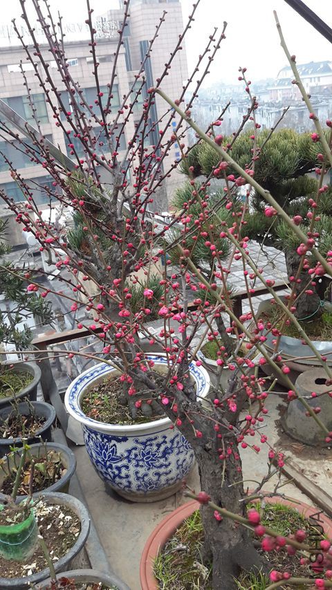 20160213_130421_����.jpg