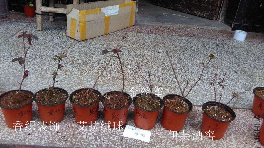 Sample-0010.jpg
