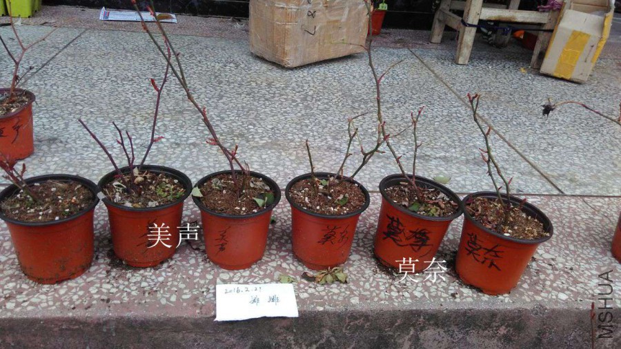 Sample-0011.jpg