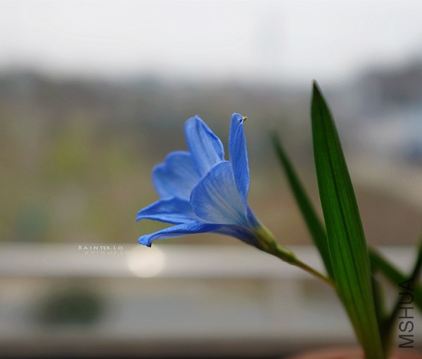DSCF0692.JPG