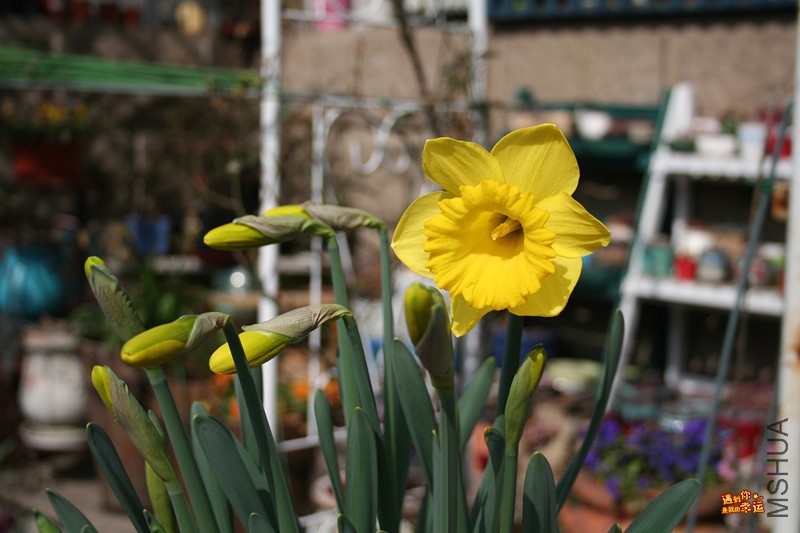 ��Ƭ 006_����.jpg