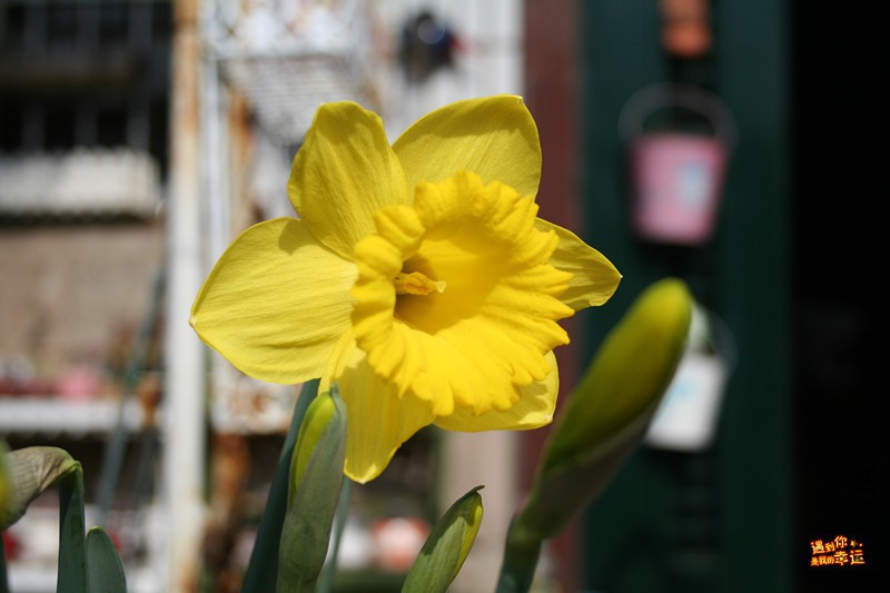 ��Ƭ 007_����.jpg