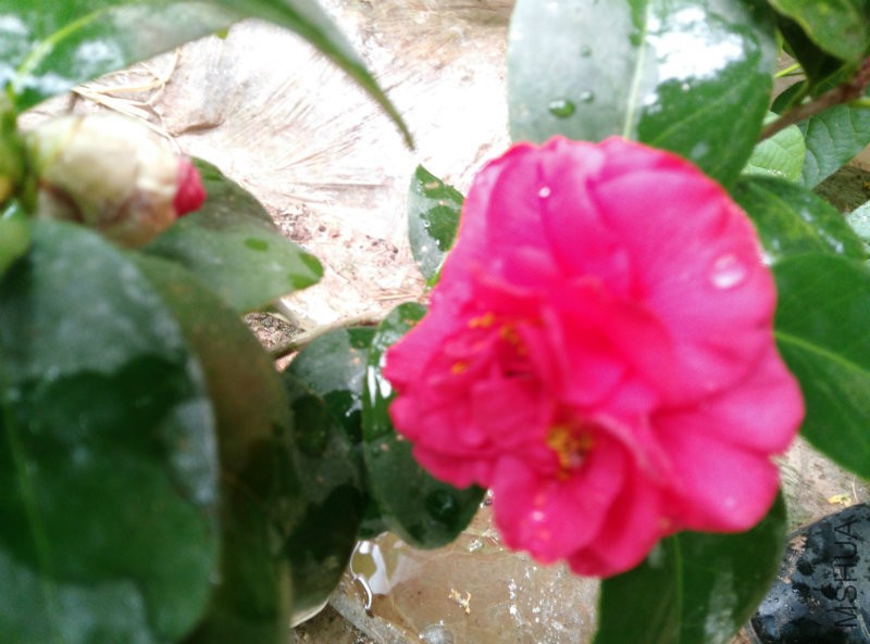 IMG_20160221_151418.jpg