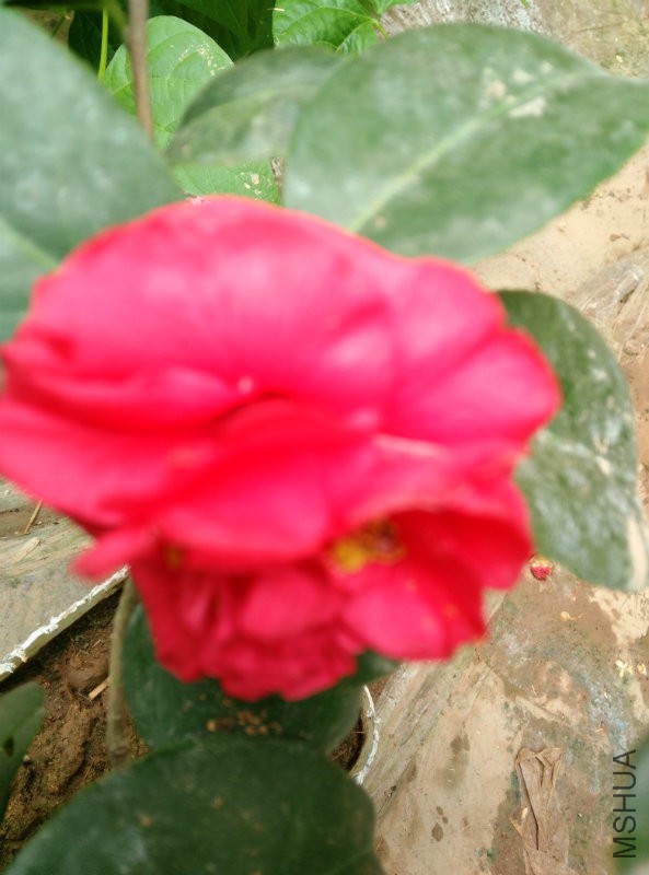 IMG_20160221_144738.jpg
