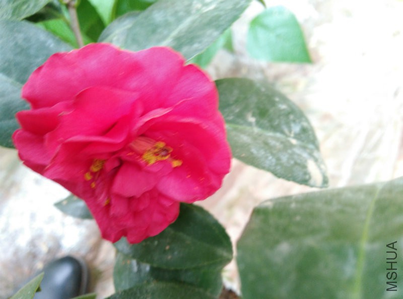 IMG_20160221_144801.jpg