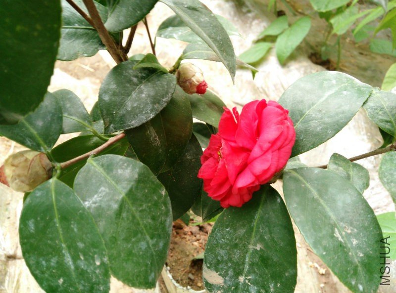IMG_20160221_145045.jpg