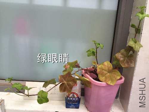 image.jpg