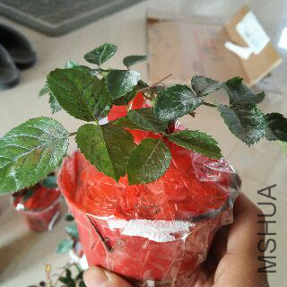 UC_Photo_057.jpg