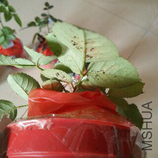 UC_Photo_058.jpg