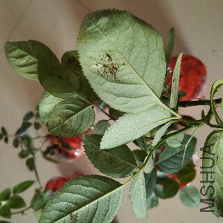 UC_Photo_059.jpg