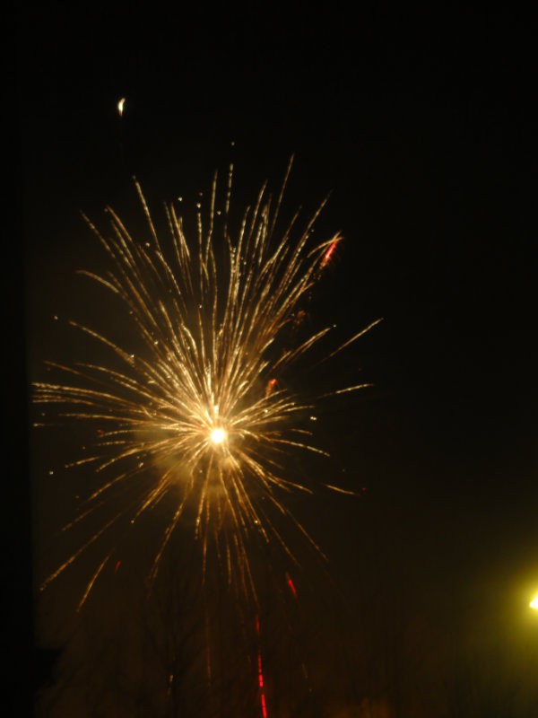 旋转 DSC01266.JPG