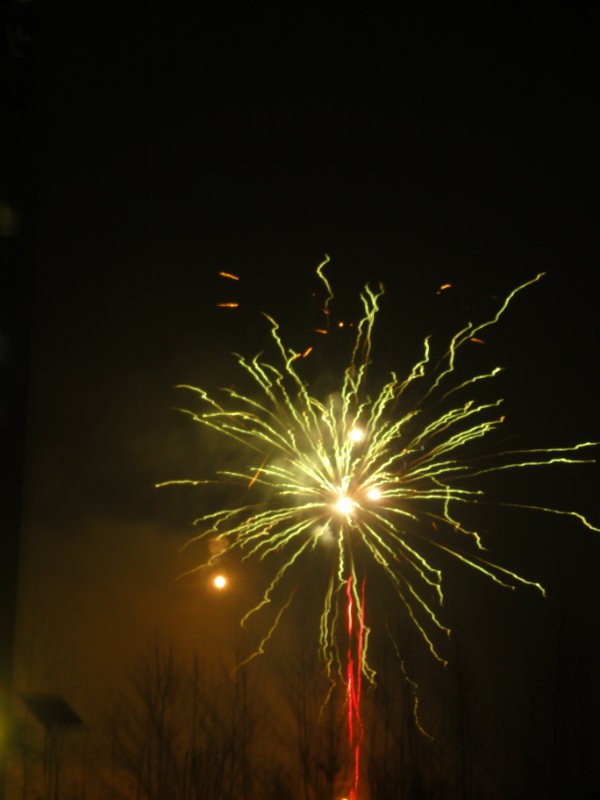 旋转 DSC01253.JPG