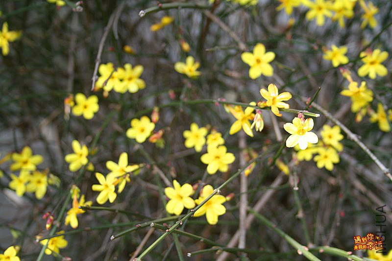 ��Ƭ 011_����.jpg