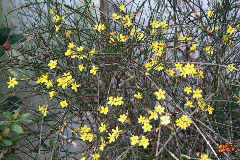 ��Ƭ 010_����.jpg