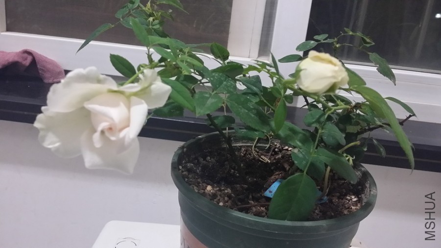 20150816_222716.jpg