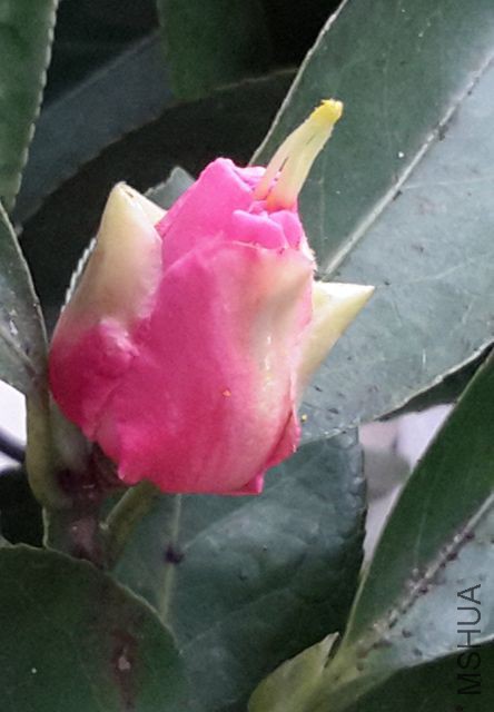 20160214_144001_����.jpg