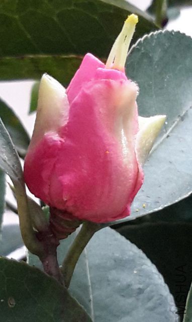 20160214_144017_����.jpg