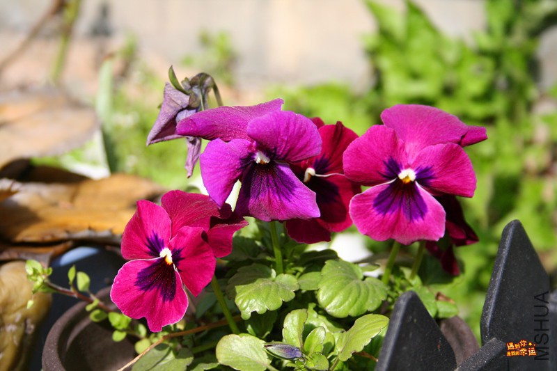 ��Ƭ 023_����.jpg