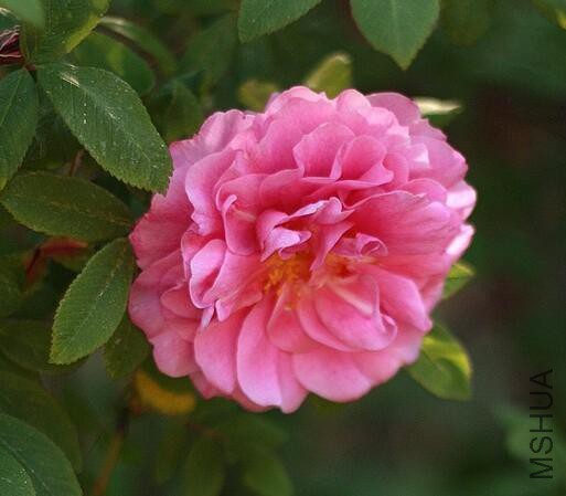 ������ ����2.jpg