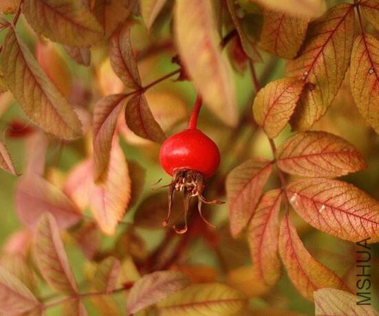 ������ ����3.jpg