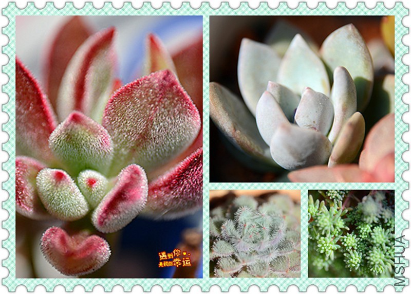 ��Ƭ 028_����.jpg