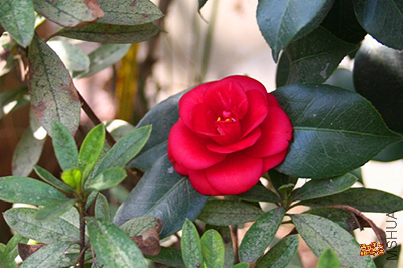 ��Ƭ 014_����.jpg