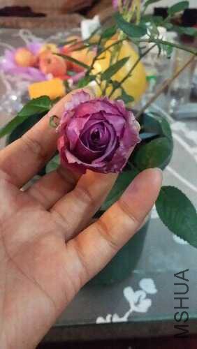 20160224_211856.jpg