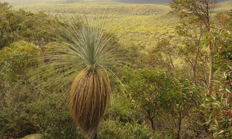 2015-08-25 16_45_48.jpg