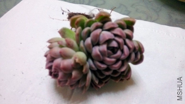 QQͼƬ20160224140930.jpg