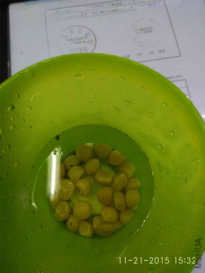 IMG20151121153244.jpg