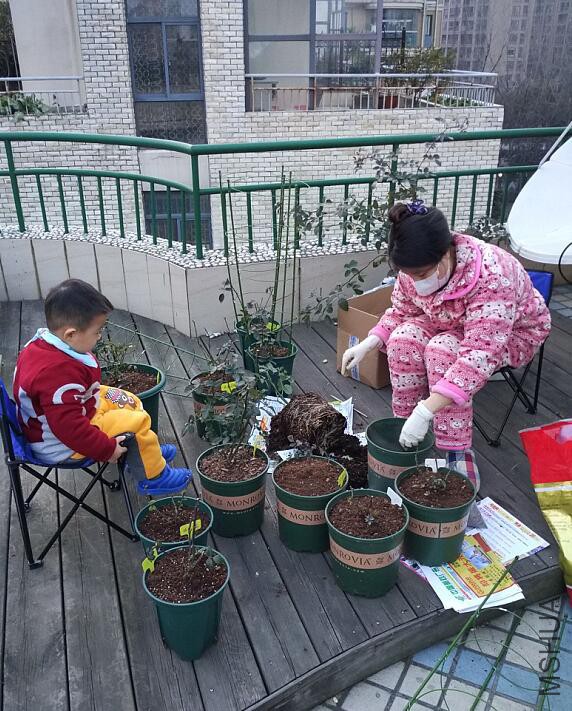 QQ��ͼ20160225155931.jpg