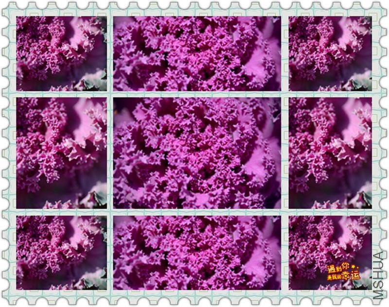 ��Ƭ 038_����.jpg