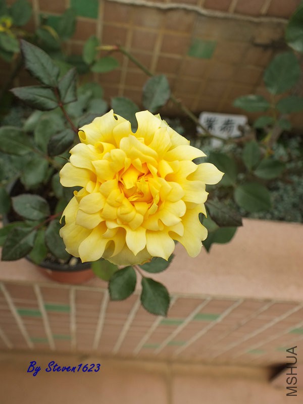 DSCF9481.JPG