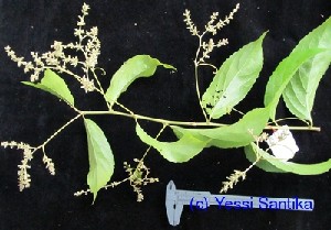 YR-22_1 1391862984.jpg