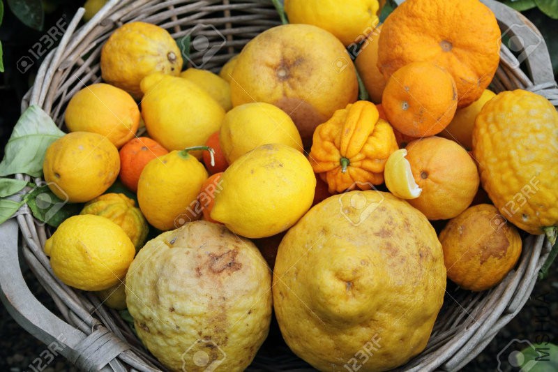 14894399-basket-with-variety-of-fruits-of-citrus-family-Rutaceae-on-exhibition-i.jpg