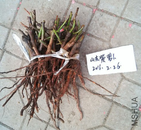 QQͼƬ20160226160839.jpg