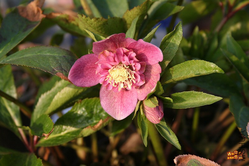 ��Ƭ 013_����.jpg